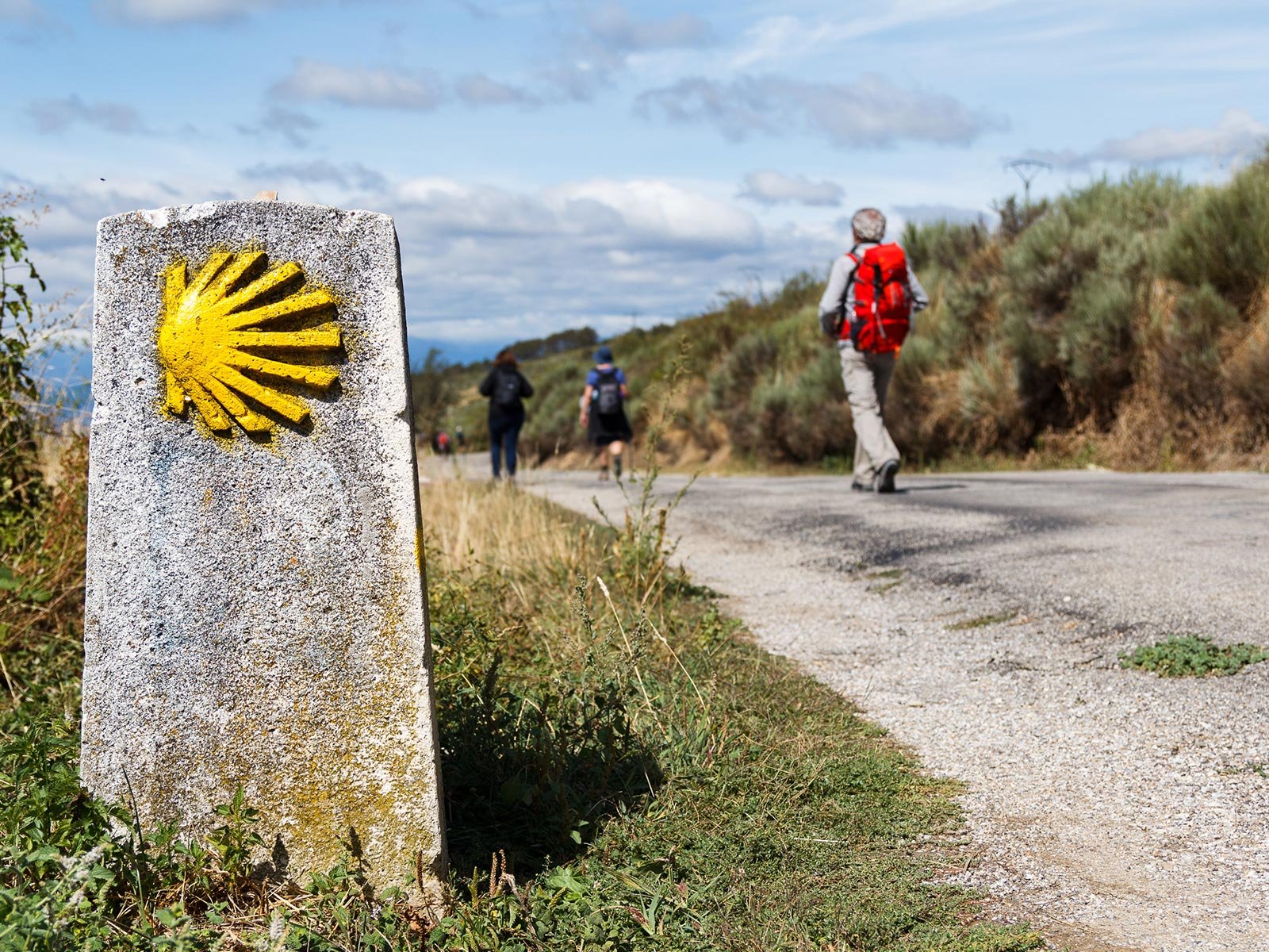 Peregrinación Camino de Santiago